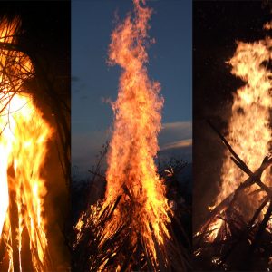 Unsere starken Feuerwesen