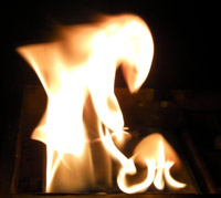 Der Feuerrabe